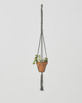 Bluefields Macrame Plant Holder | Gray