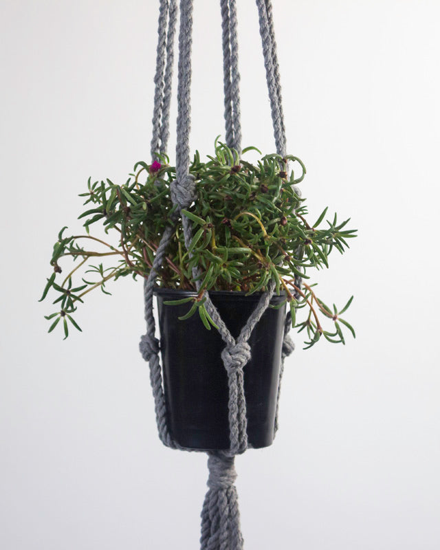 Bluefields Macrame Plant Holder | Gray