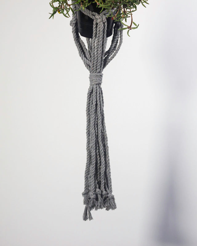 Mombacho Macrame Plant Holder | Gray
