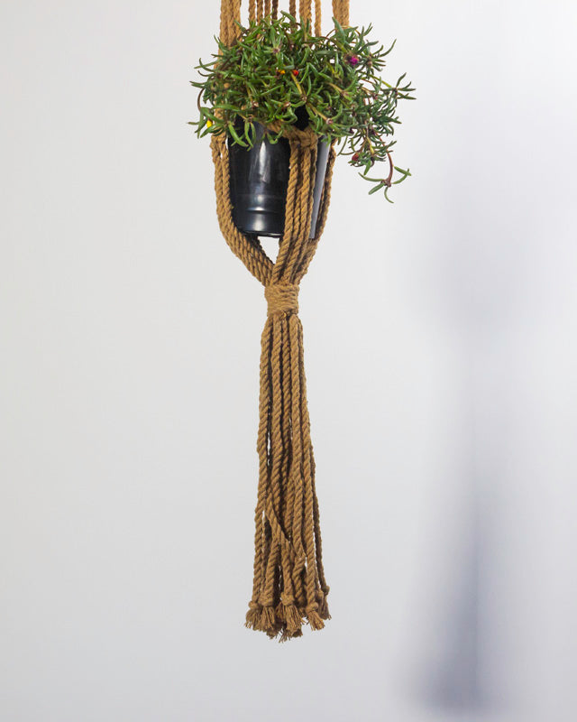 Mombacho Macrame Plant Holder | Khaki